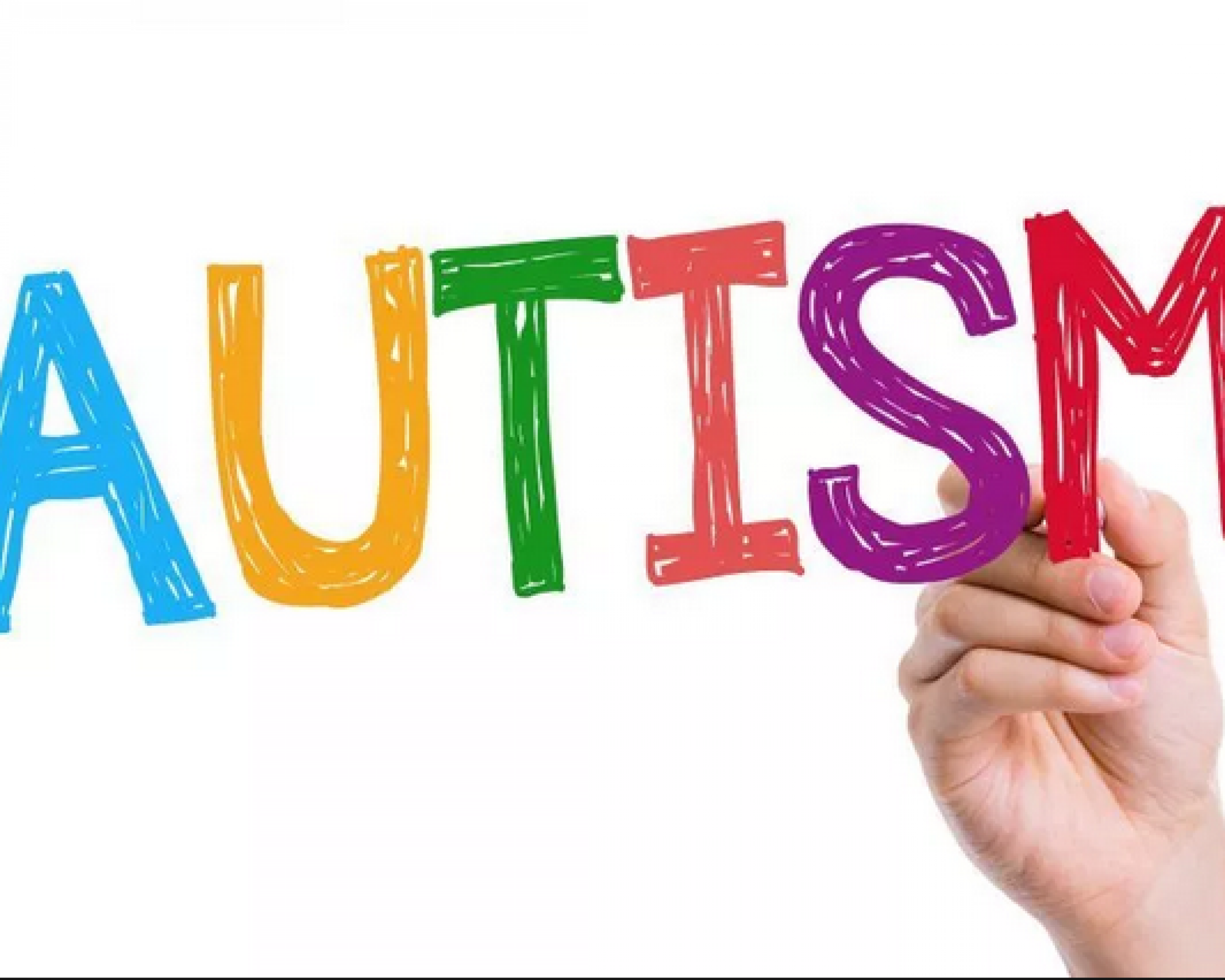 Screen Shot 2019-02-19 at 11.52.39 am